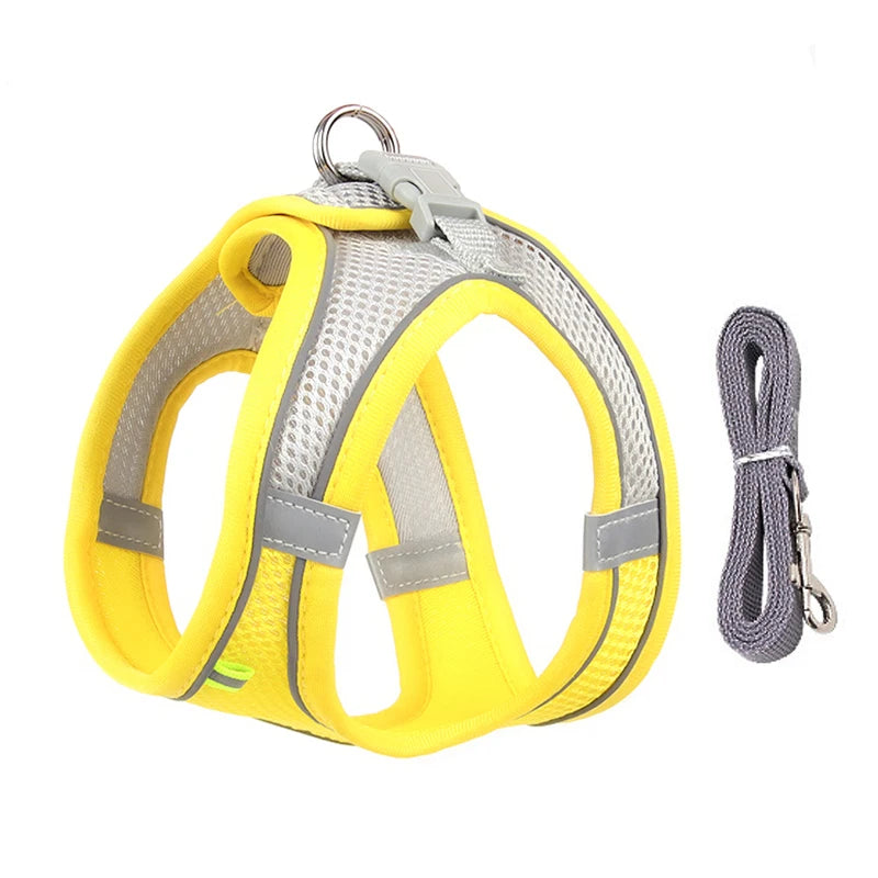 Conjunto de coleira e arnês para cães pequenos