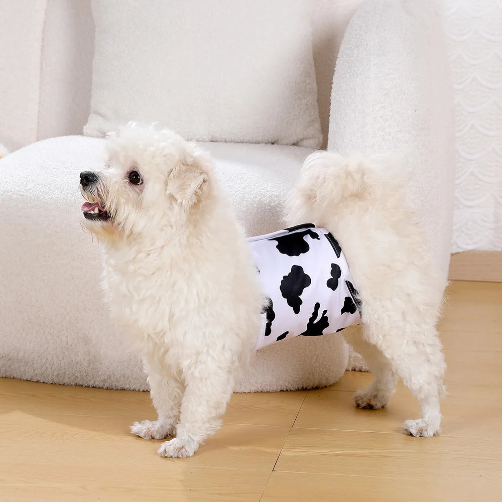 Fraldas laváveis para cães machos