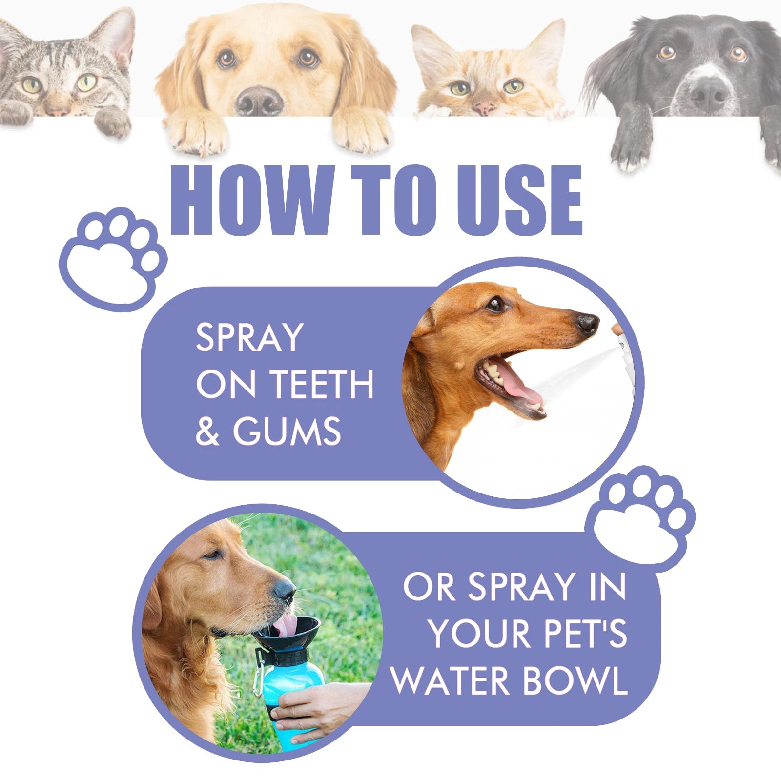 Spray dental para animais de estimação para cães e gatos
