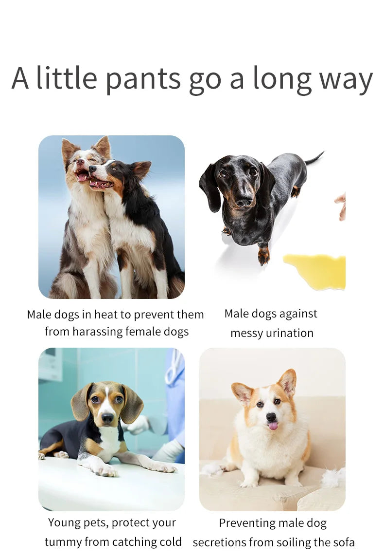 Fraldas laváveis para cães machos