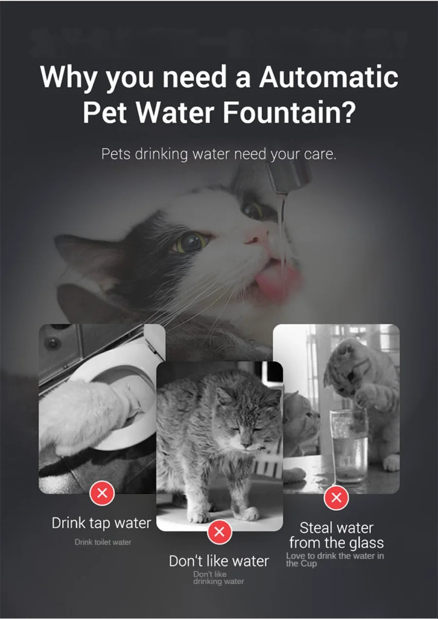 Dispensador automático de água para animais de estimação