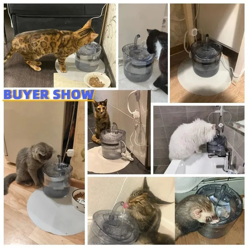 Dispensador automático de água para animais de estimação
