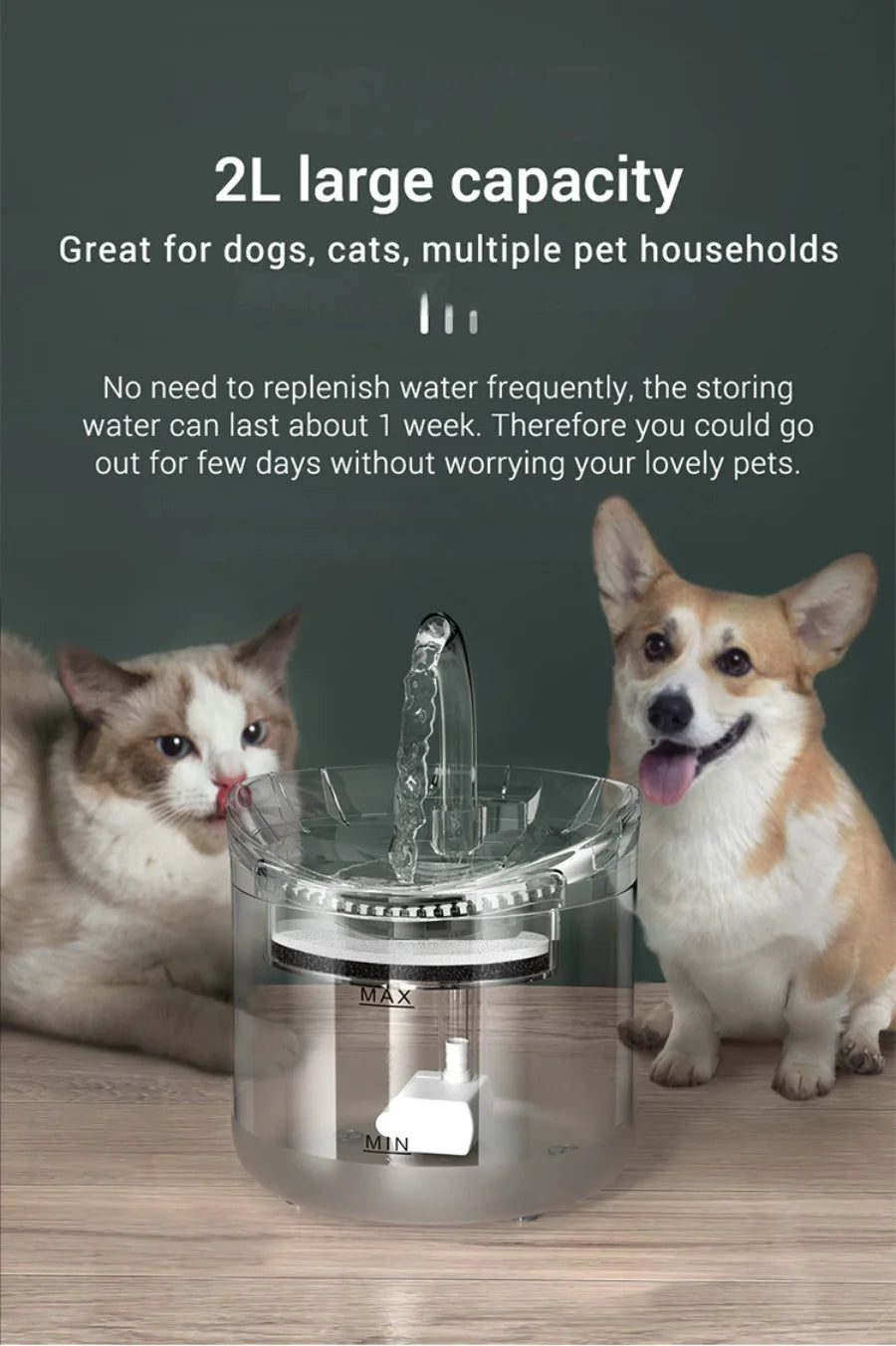 Dispensador automático de água para animais de estimação