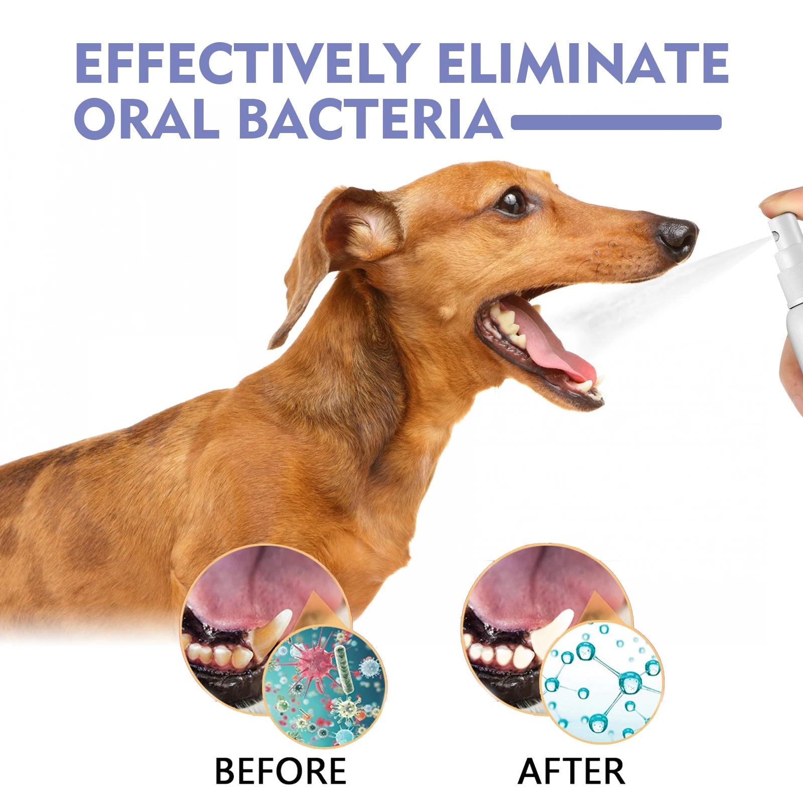 Spray dental para animais de estimação para cães e gatos
