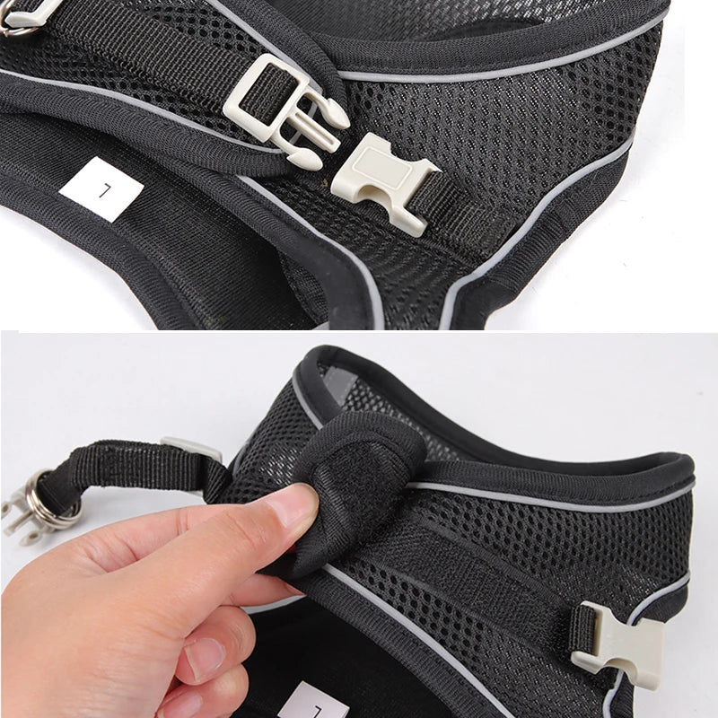 Conjunto de coleira e arnês para cães pequenos