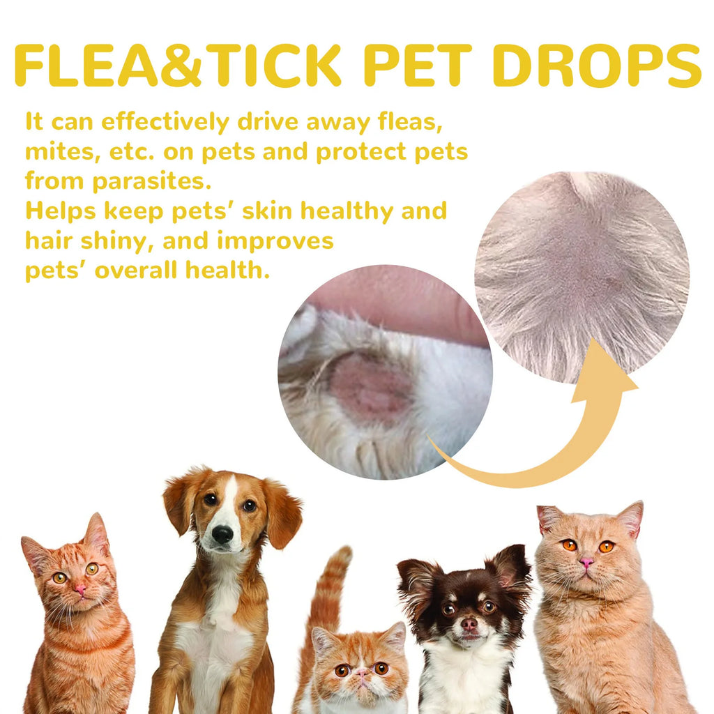 Gotas contra pulgas para gatos, remove pulgas e piolhos, alivia coceira na pele