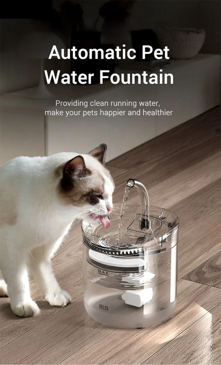 Dispensador automático de água para animais de estimação