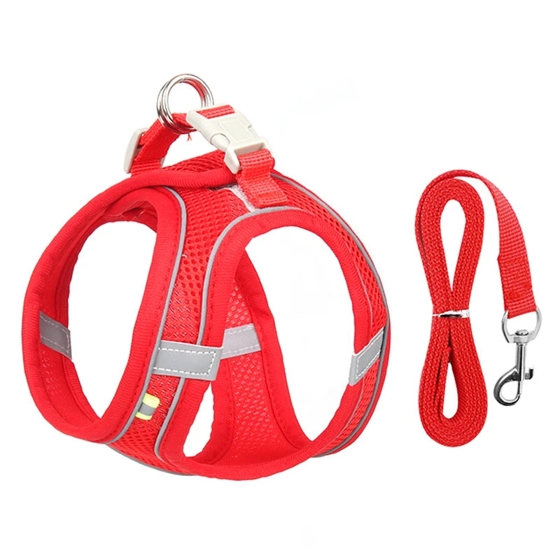 Conjunto de coleira e arnês para cães pequenos