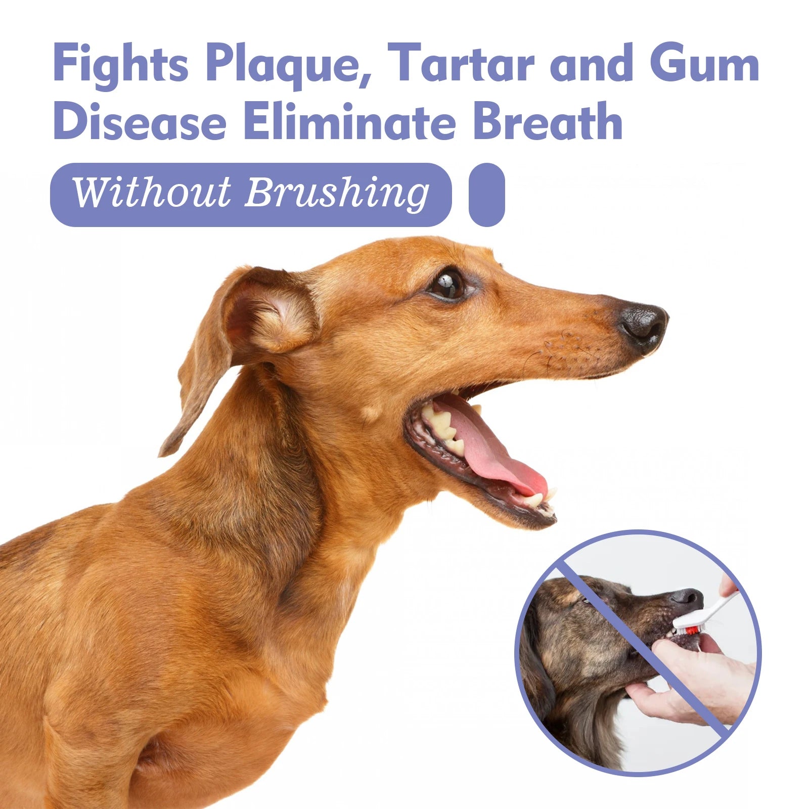 Spray dental para animais de estimação para cães e gatos
