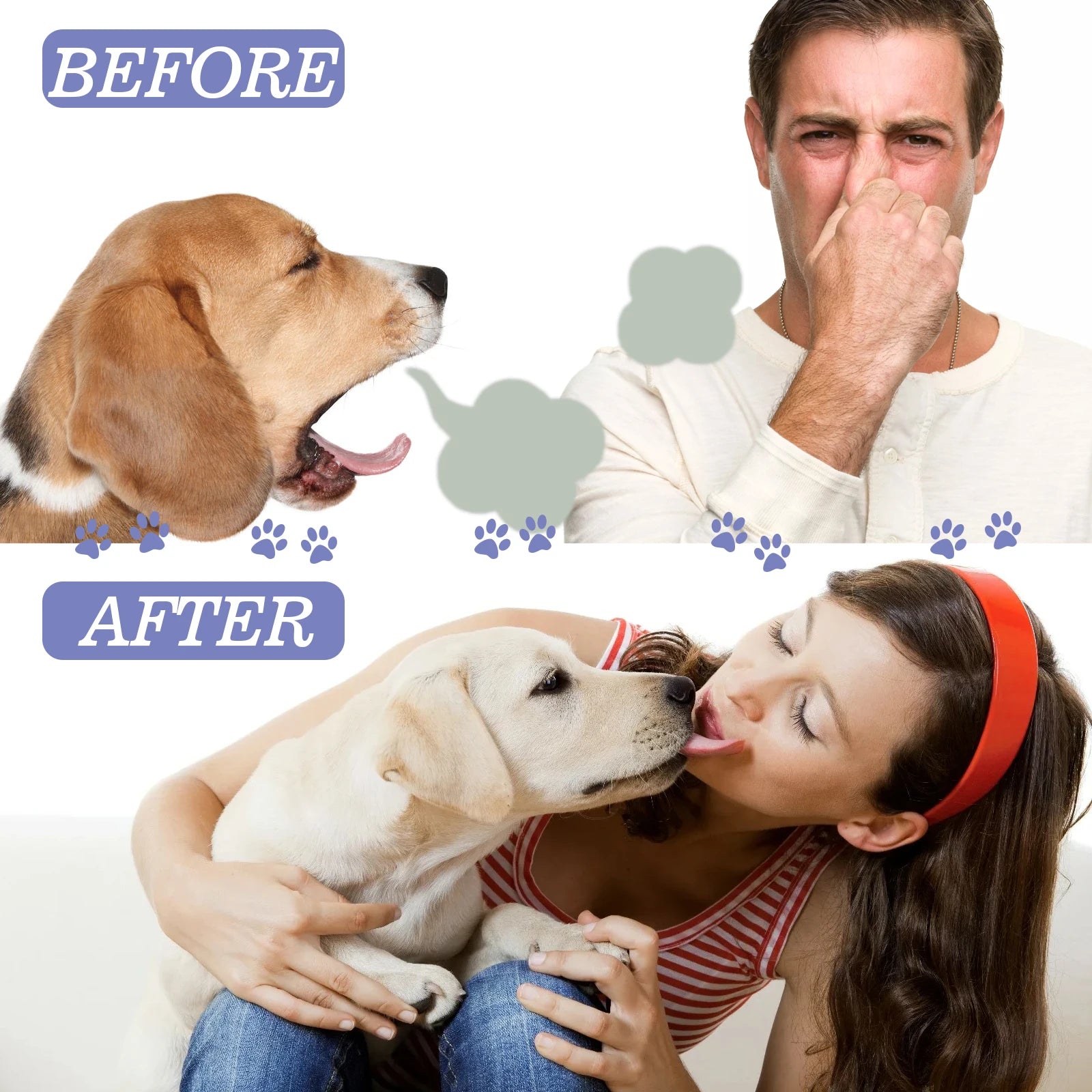 Spray dental para animais de estimação para cães e gatos