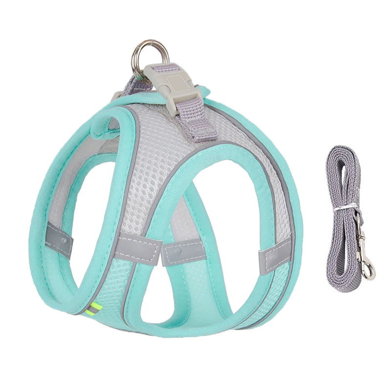 Conjunto de coleira e arnês para cães pequenos
