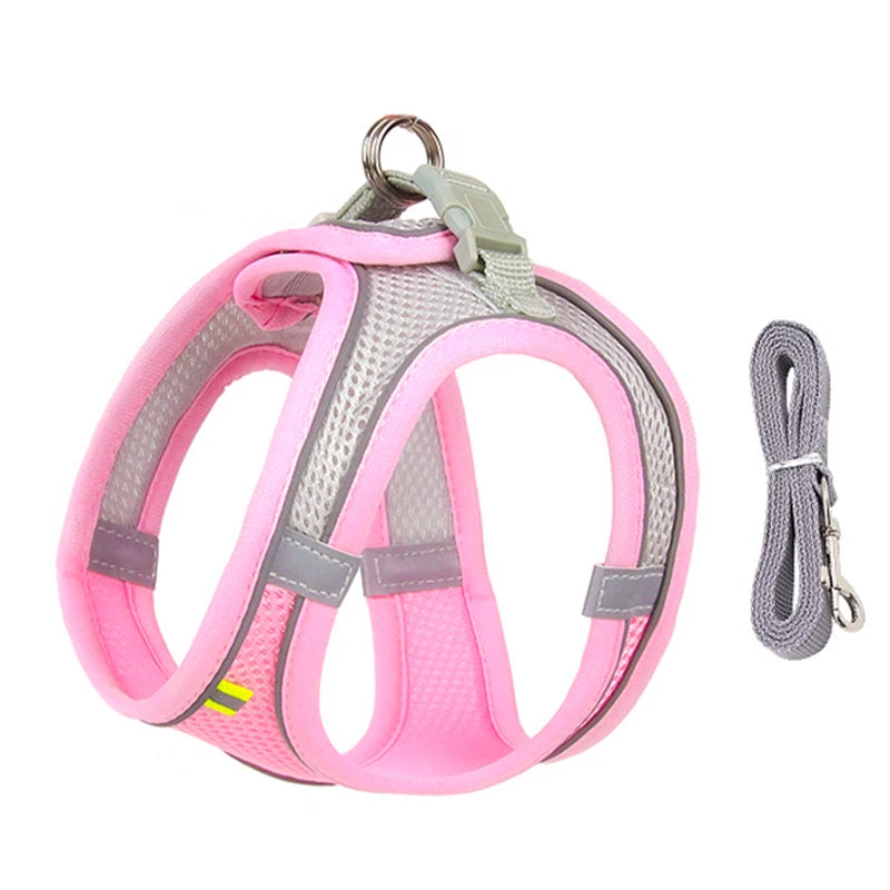 Conjunto de coleira e arnês para cães pequenos