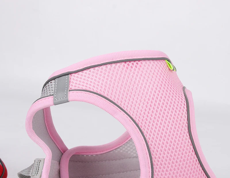 Conjunto de coleira e arnês para cães pequenos
