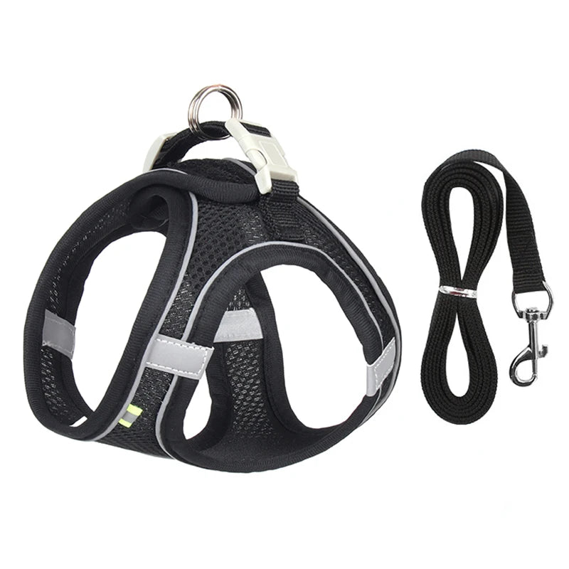 Conjunto de coleira e arnês para cães pequenos
