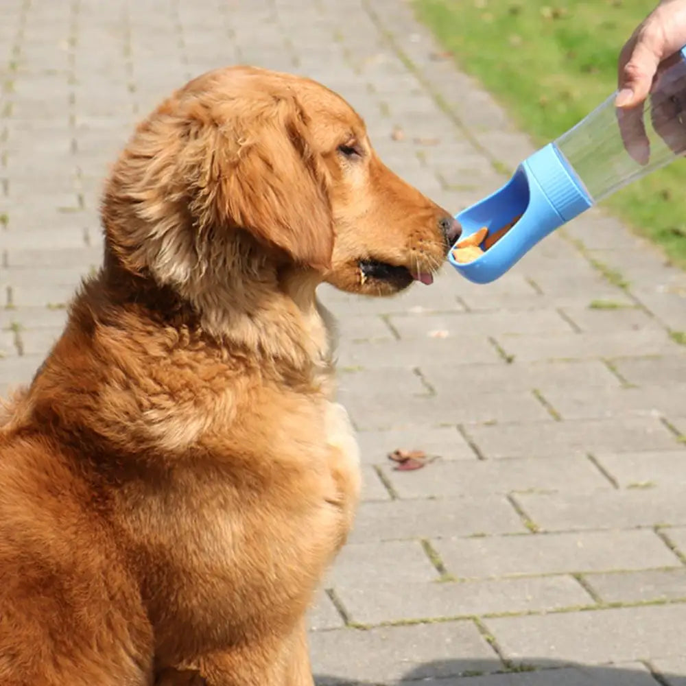Garrafa de água 2 em 1 para cães