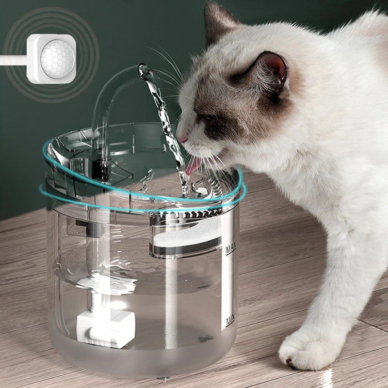 Dispensador automático de água para animais de estimação