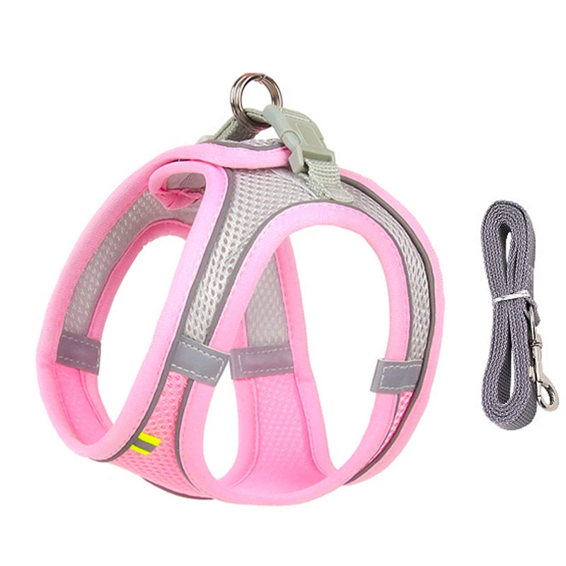 Conjunto de coleira e arnês para cães pequenos