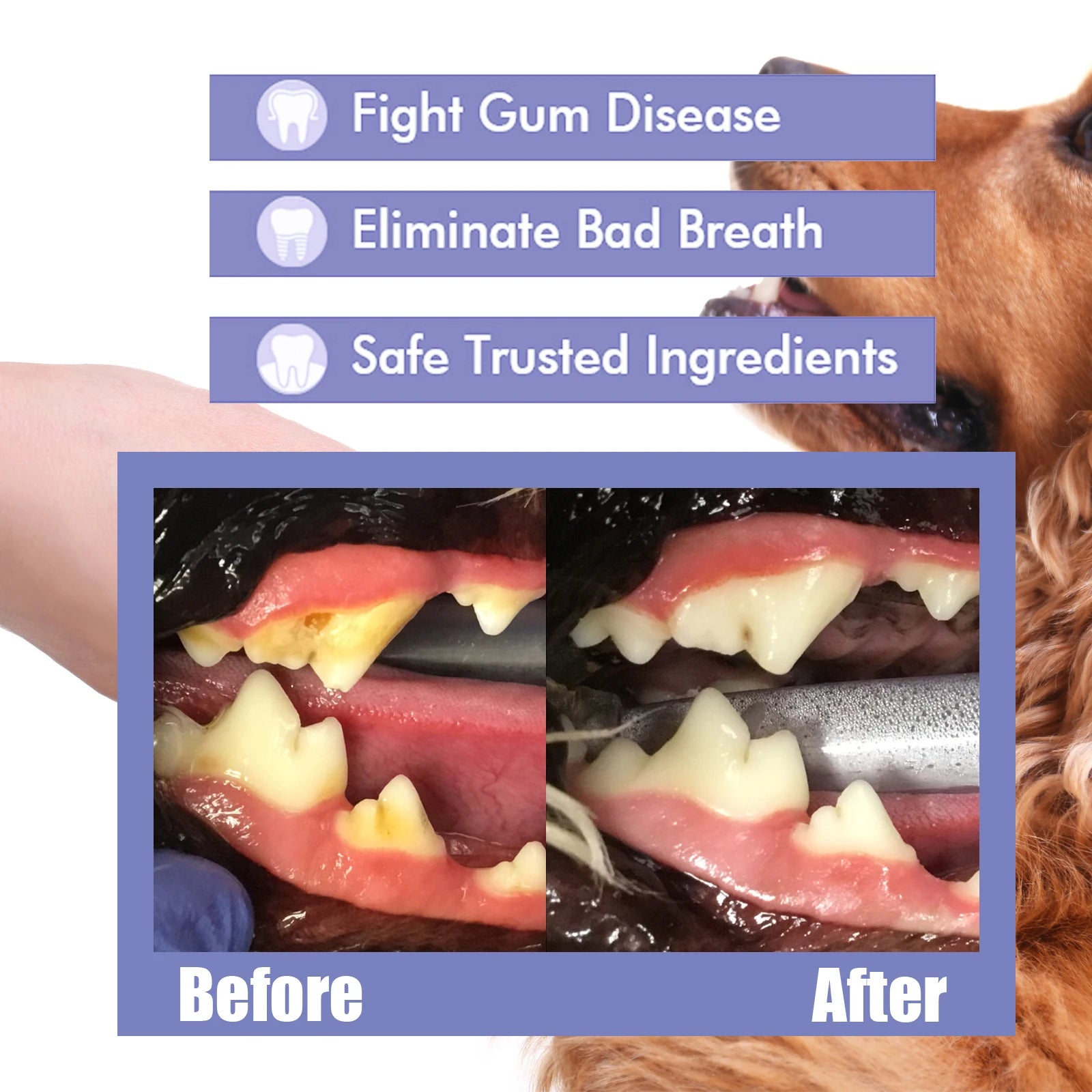 Spray dental para animais de estimação para cães e gatos