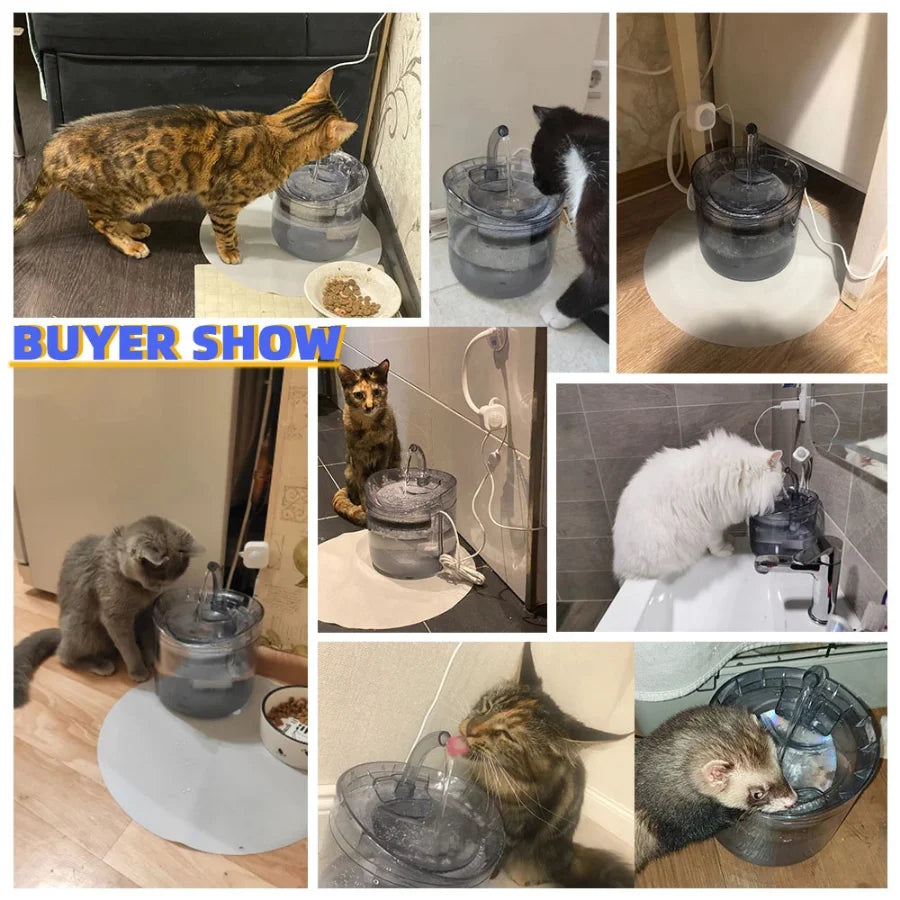 Dispensador automático de água para animais de estimação