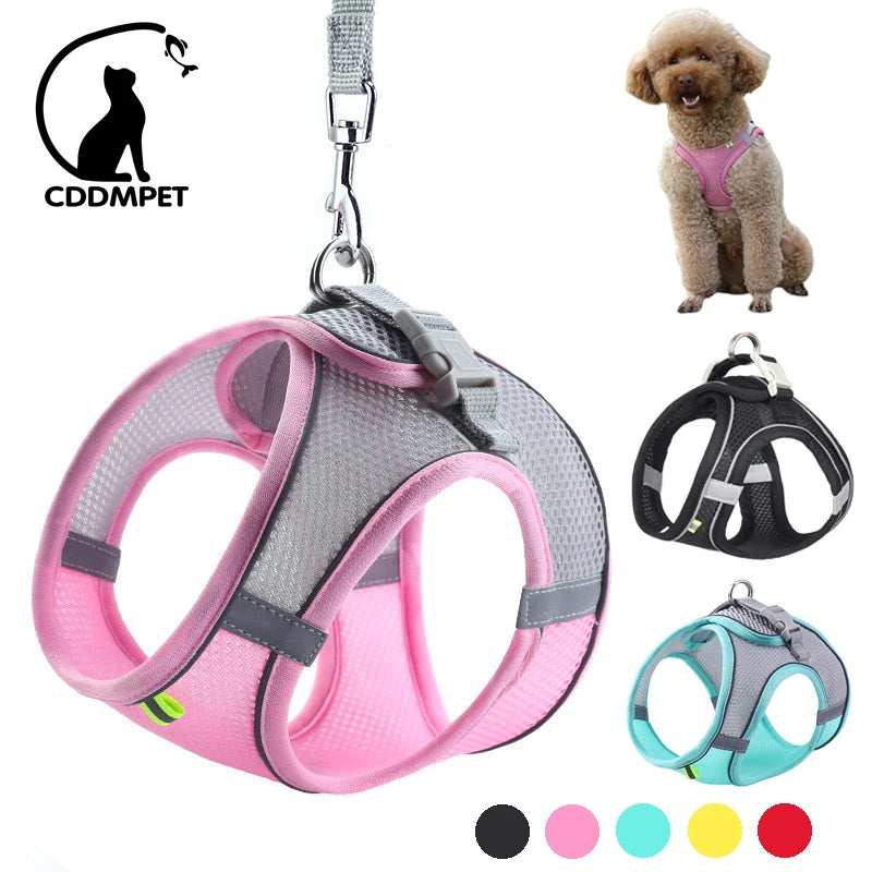 Conjunto de coleira e arnês para cães pequenos