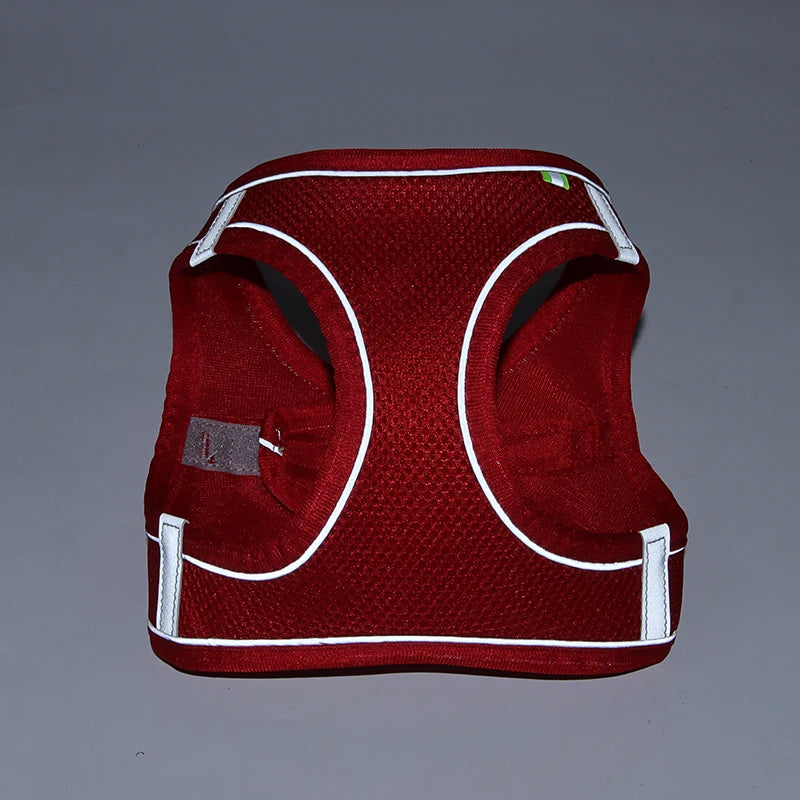 Conjunto de coleira e arnês para cães pequenos