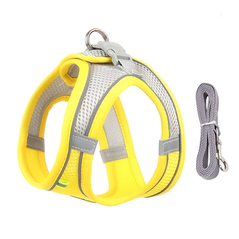 Conjunto de coleira e arnês para cães pequenos