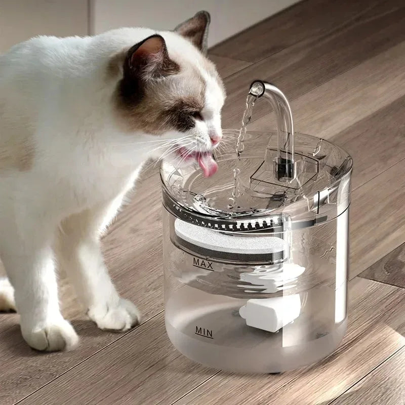 Dispensador automático de água para animais de estimação