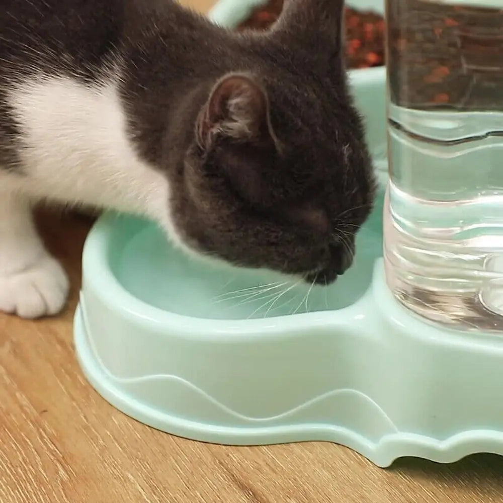 Alimentador para animais de estimação de 3,8L em PP
