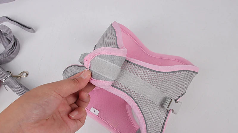 Conjunto de coleira e arnês para cães pequenos