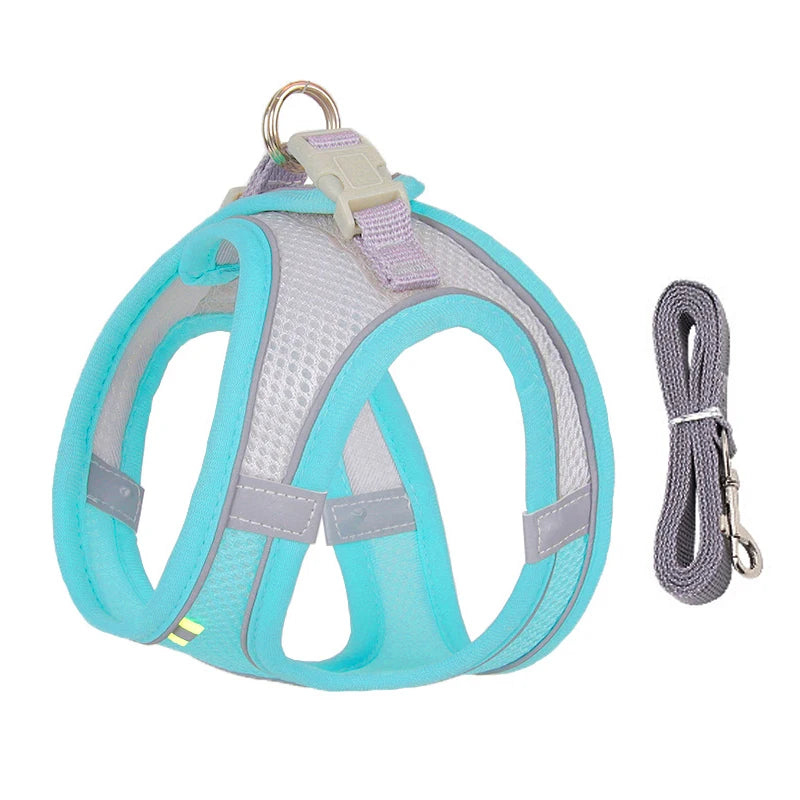 Conjunto de coleira e arnês para cães pequenos